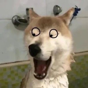 Meet your Posher, Marilynn